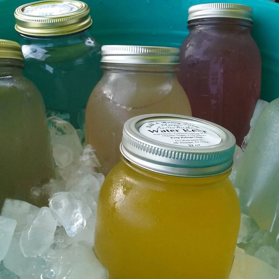 Water Kefir Complete Starter Set - Image 3