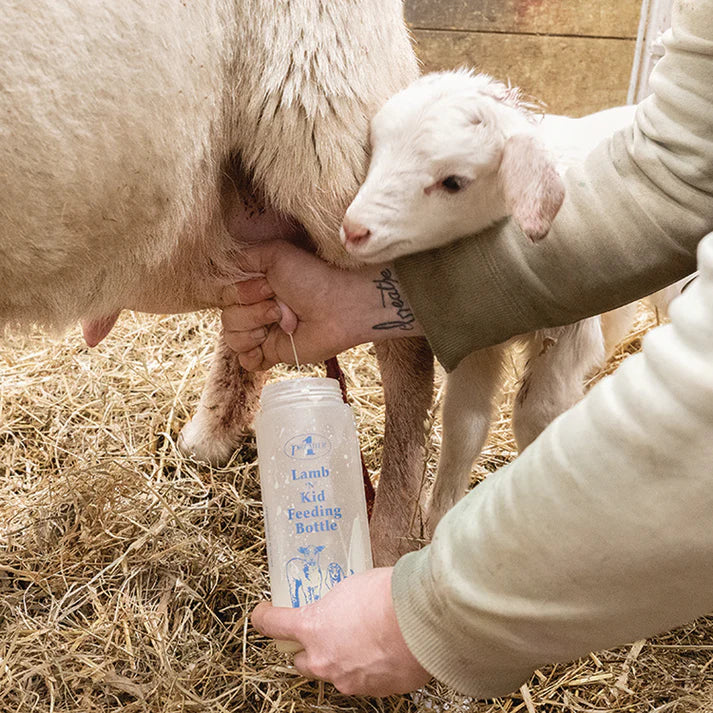 Wide Mouth Lamb 'N' Kid Feeding Bottle - Image 2