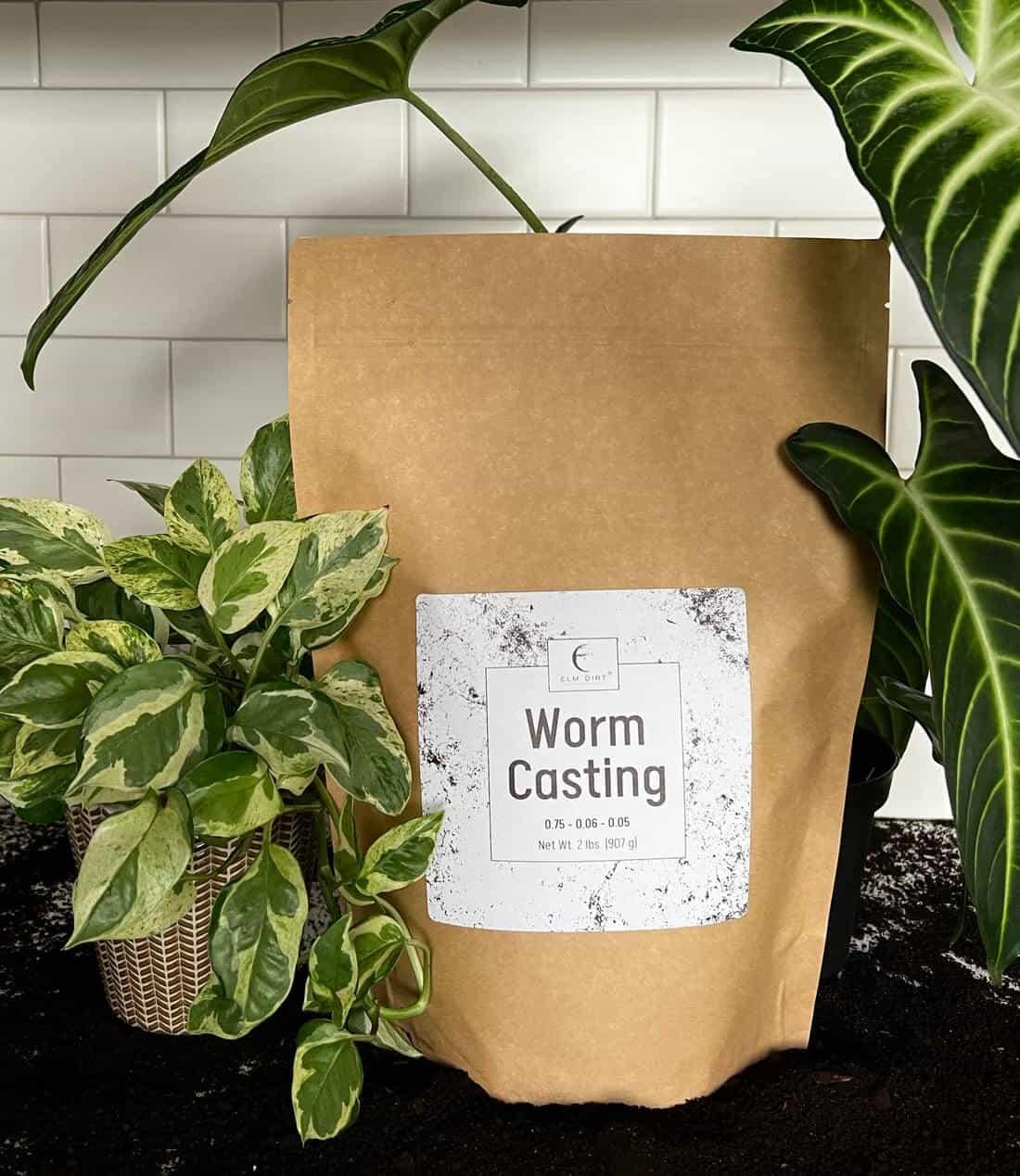 Worm Castings - Image 10
