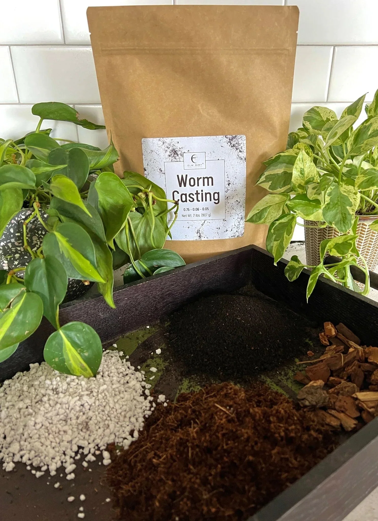 Worm Castings - Image 3
