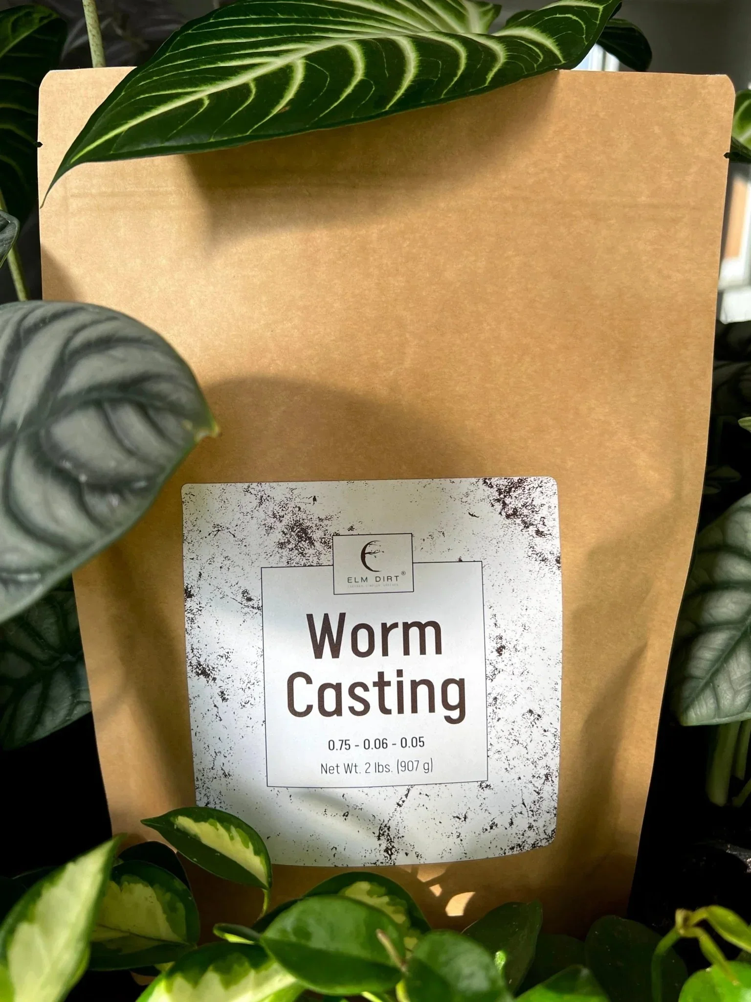 Worm Castings - Image 4