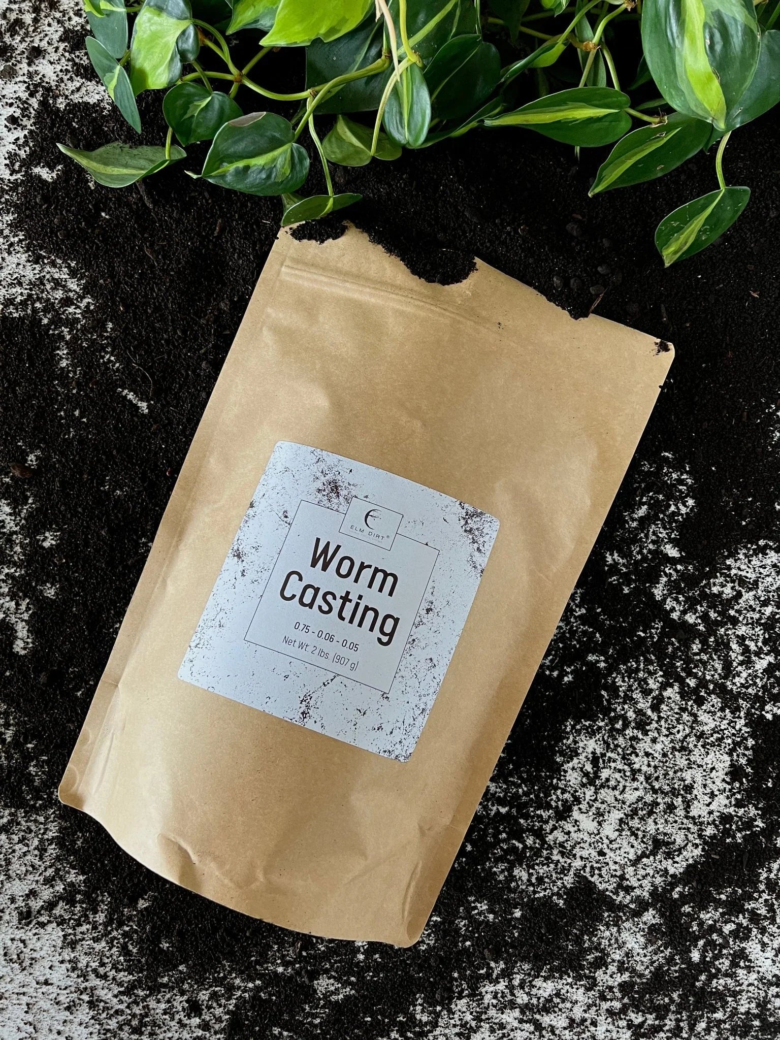 Worm Castings - Image 5