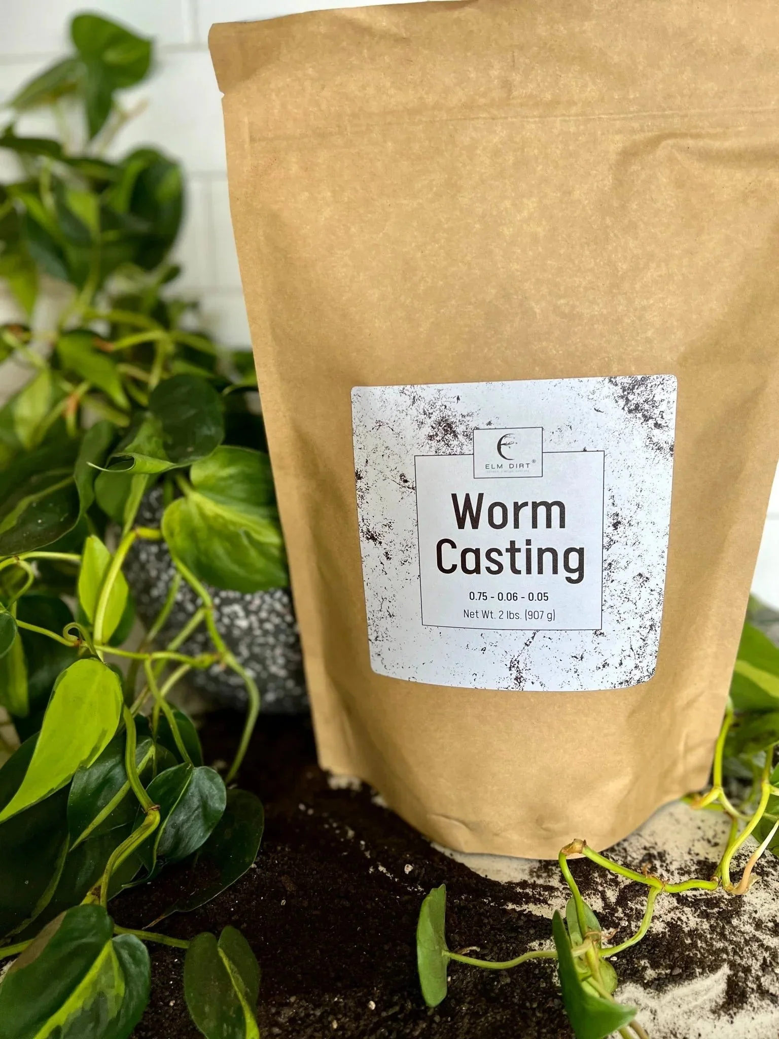 Worm Castings - Image 6