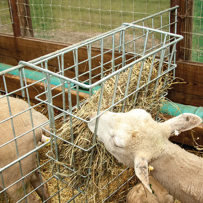 X-Tuff Single Sided Hay Feeder - Image 2