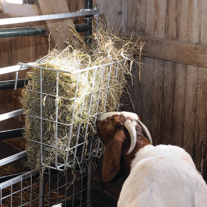 X-Tuff Single Sided Hay Feeder - Image 4