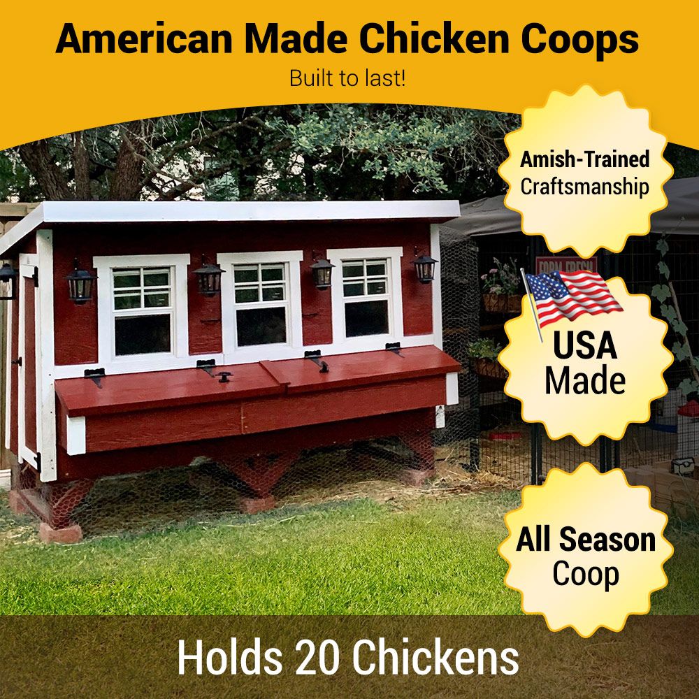 XL Chicken Coop - Up to 20 Chickens - Image 38