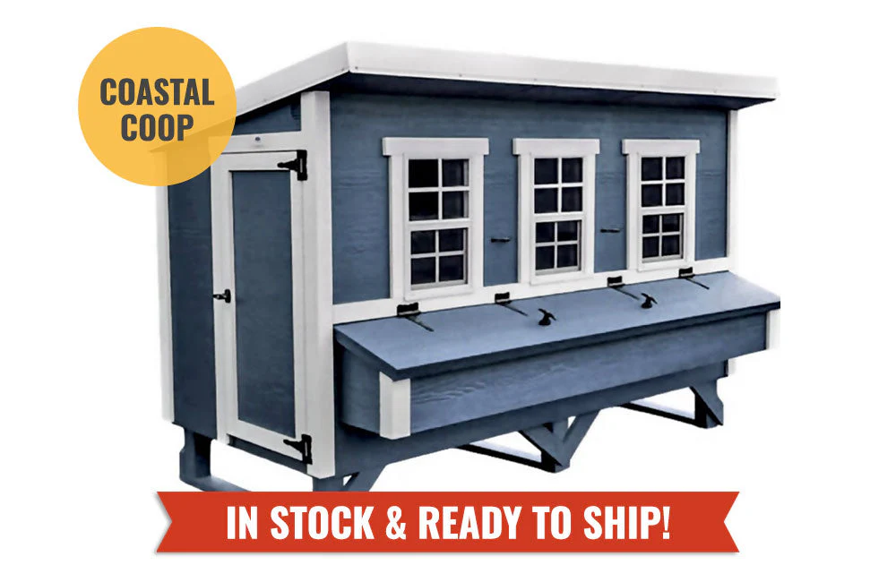 XL Chicken Coop - Up to 20 Chickens - Image 43