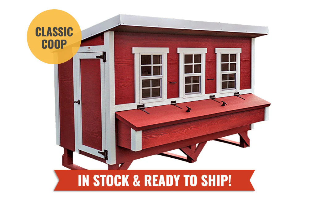 XL Chicken Coop - Up to 20 Chickens - Image 8